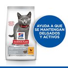 Hill’s Science Plan Sterilised Kitten Pollo pienso para gatos, , large image number null